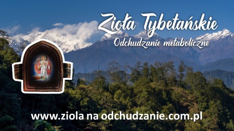 (4) Zioła Tybetańskie " Znhz " Zdrowe i skuteczne odchudzanie. Szybki metabolizm. 4 opakowania suszu ziołowego do parzenia.