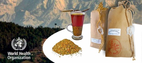 (12) Zioła Tybetańskie " Znhz " Zdrowe i skuteczne odchudzanie. Szybki metabolizm. 12 opakowań suszu ziołowego do parzenia.