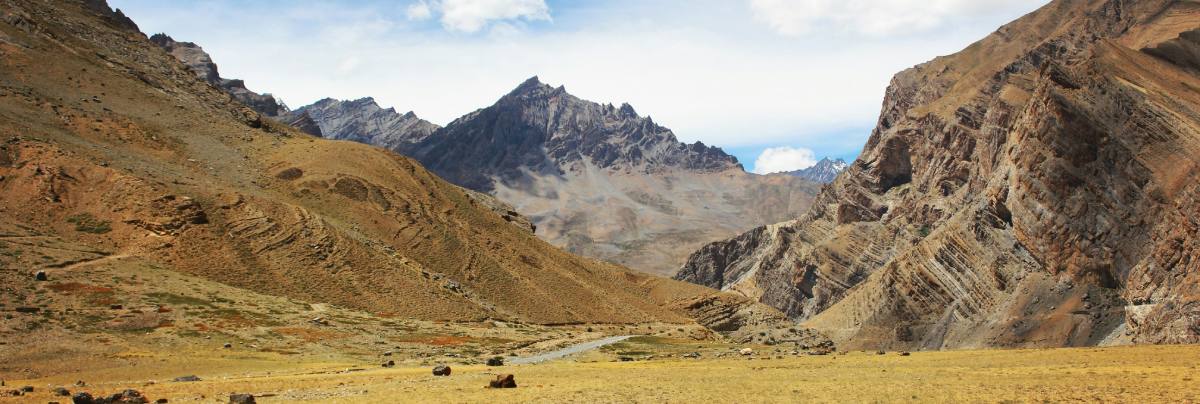 Zioła wspomagające metabolizm.